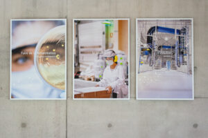 DECO BUREAU LESAFFRE-12