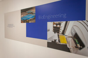 DECO BUREAU LESAFFRE-13