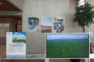 DECO BUREAU LESAFFRE-3