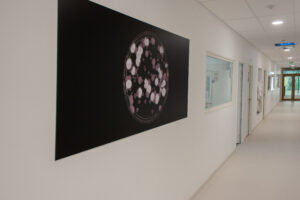 DECO BUREAU LESAFFRE-4