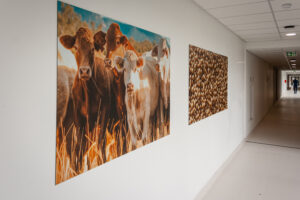 DECO BUREAU LESAFFRE-6